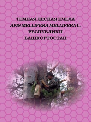 cover image of Темная лесная пчела (Apis mellifera mellifera L.) Республики Башкортостан